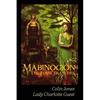 Mabinogion, the Four Branches: The Ancient Celtic Epic - Paperback