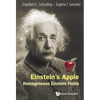 Einstein's Apple: Homogeneous Einstein Fields - Paperback