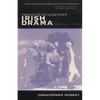 Twentieth-Century Irish Drama: Mirror Up to Nation - Paperback
