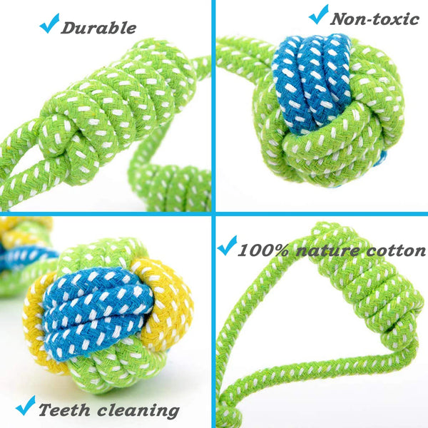 Outdoor Training Toy for Dogs