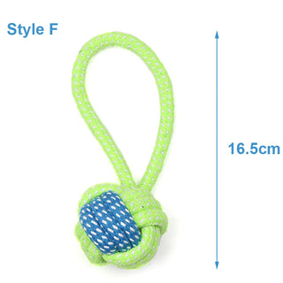 Buy style-f Outdoor Training Toy for Dogs