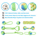 Outdoor Training Toy for Dogs