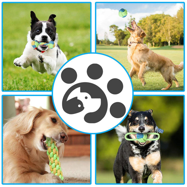 Outdoor Training Toy for Dogs