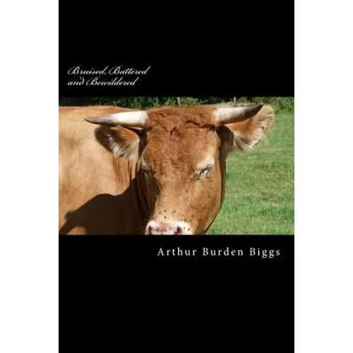 Bruised, Battered and Bewildered: A true story of an Alcoholics life - Paperback