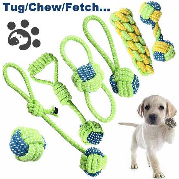 Outdoor Training Toy for Dogs