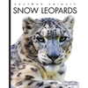 Snow Leopards - Paperback