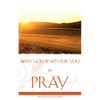 Why God Waits for You to Pray - Paperback