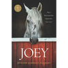 Joey: How a Blind Rescue Horse Helped Others Learn to See - Paperback