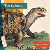 Tortoises - Paperback