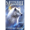 Moonlight Walkers: Forbidden Lands (Book 1) - Paperback