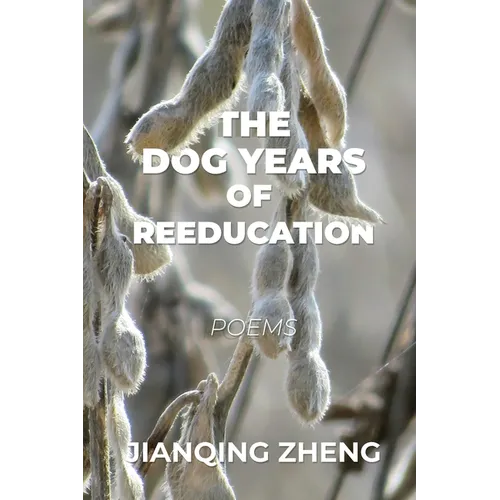 The Dog Years of Reeducation: Poems - Paperback