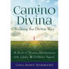 Camino Divina--Walking the Divine Way: A Book of Moving Meditations with Likely and Unlikely Saints - Paperback