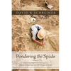 Pondering the Spade: Discussing Important Convergences Between Archaeology and Old Testament Studies - Paperback
