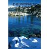 The Prophetic Church: Building the people as God intended - Paperback