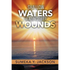 Shallow Waters Healing Deep Wounds - Paperback