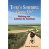 There's Something Going On!: Walking the Camino de Santiago - Paperback