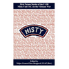 Misty: First Person Stories of the F-100 Fast FACs in the Vietnam War - Paperback