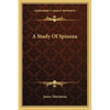 A Study Of Spinoza - Paperback