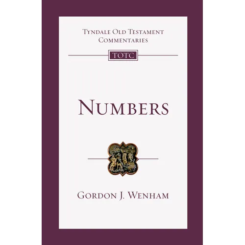 Numbers: An Introduction and Commentary Volume 4 - Paperback