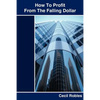 How To Profit From The Falling Dollar - Paperback