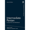Intermediate Persian: A Grammar and Workbook - Paperback
