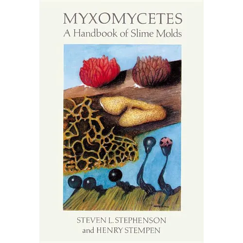 Myxomycetes - Paperback