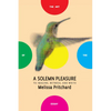 A Solemn Pleasure: To Imagine, Witness, and Write - Paperback