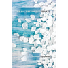 The Salt Before It Shakes - Paperback