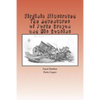Virginia Illustrated: The Adventures of Porte Crayon and His Cousins - Paperback