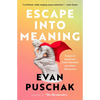 Escape Into Meaning: Essays on Superman, Public Benches, and Other Obsessions - Paperback