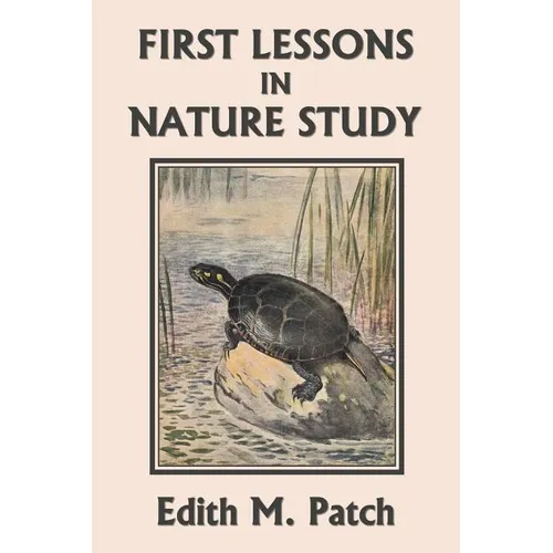 First Lessons in Nature Study (Yesterday's Classics) - Paperback