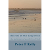 Secrets of the Grapevine: the mathematical possibility of God - Paperback