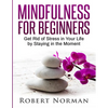 Mindfulness for Beginners: Get Rid Of Stress In Your Life By Staying In The Moment - Paperback
