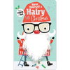 Have Yourself a Hairy Little Christmas - Board Book
