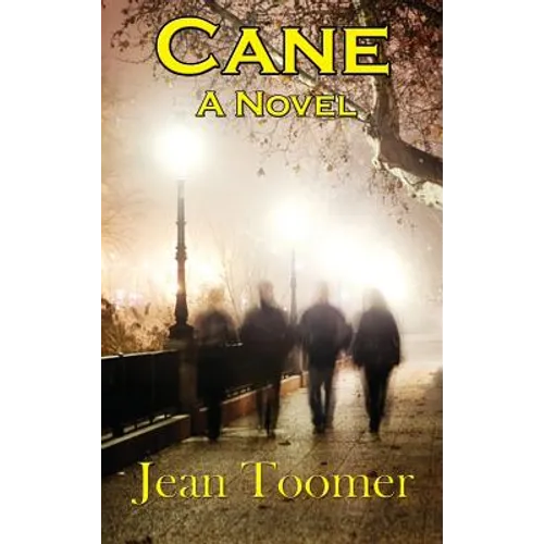 Cane: A Novel of the Harlem Renaissance - Hardcover