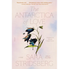 The Antarctica of Love - Paperback
