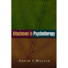 Attachment in Psychotherapy - Hardcover