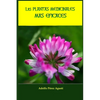 Las plantas medicinales más eficaces - Paperback