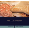 Traces of Fremont: Society and Rock Art in Ancient Utah - Paperback