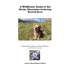 A Wildflower Guide of the Rocky Mountains featuring Ravioli Ross: An identification guide to common wildflowers of the Rocky Mountains. - Paperback