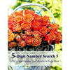 5-Digit Number Search 5: 120 5-Digit Number Find Puzzles in Large Print - Paperback