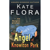 The Angel of Knowlton Park (a Joe Burgess Mystery, Book 2) - Paperback