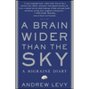 A Brain Wider Than the Sky - Paperback