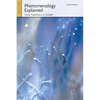 Phenomenology Explained: From Experience to Insight - Paperback