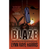 Blaze: A Small Town, Nerdy Girl, Opposites Attract, Protector Romance - Paperback