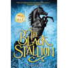 The Black Stallion - Paperback
