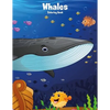 Whales Coloring Book 1 - Paperback
