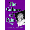 The Culture of Pain - Paperback