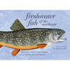 Freshwater Fish of the Northeast - Paperback
