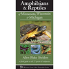 Amphibians & Reptiles of Minnesota, Wisconsin & Michigan: A Field Guide to All 77 Species & Subspecies - Paperback